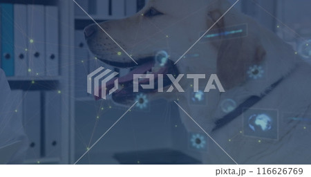 Image of data processing over caucasian male doctor with dog 116626769