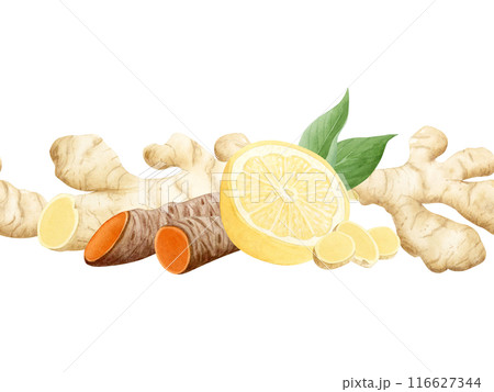 Curcuma turmeric and ginger roots with lemons and leaves seamless border isolated on white. Hand drawn endless background for kitchen textile, organic healthy food packaging and menus Curcuma turmeric and ginger roots with lemons and leaves seamless border isolated on white. Hand drawn endless background for kitchen textile, organic healthy food packaging and menus 116627344