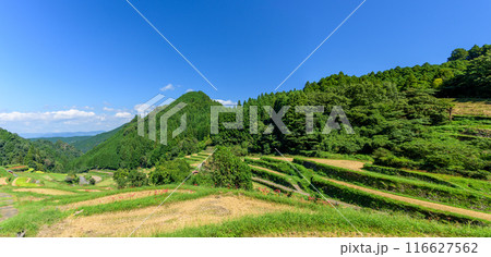 日本の原風景　うきはの山あいに映える「つづら棚田」と彼岸花が咲く季節風景（福岡県うきは市） 116627562
