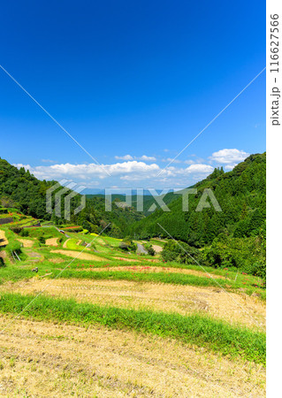 日本の原風景　うきはの山あいに映える「つづら棚田」と彼岸花が咲く季節風景（福岡県うきは市） 116627566