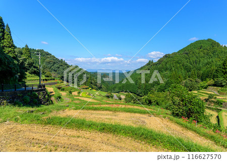 日本の原風景　うきはの山あいに映える「つづら棚田」と彼岸花が咲く季節風景（福岡県うきは市） 116627570