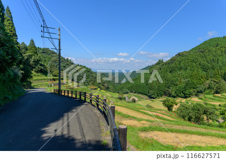 日本の原風景　うきはの山あいに映える「つづら棚田」と彼岸花が咲く季節風景（福岡県うきは市） 116627571