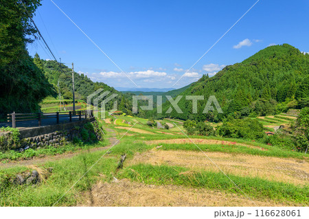 日本の原風景　うきはの山あいに映える「つづら棚田」と彼岸花が咲く季節風景（福岡県うきは市） 116628061