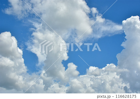 White clouds against blue sky for a backgrounds. White clouds against blue sky for a backgrounds. 116628175