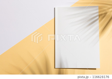 A blank book cover lies on a dual-tone background, with copy space A blank book cover lies on a dual-tone background, with copy space 116628176