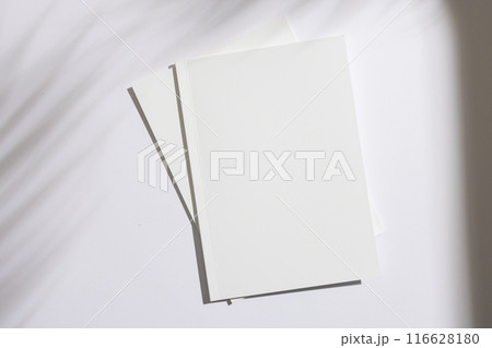 Blank open book on a white surface, with copy space Blank open book on a white surface, with copy space 116628180