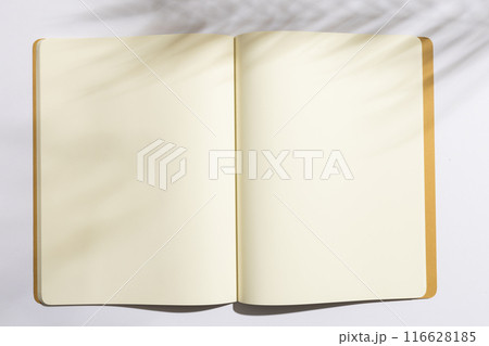 An open blank notebook lies on a surface, with copy space An open blank notebook lies on a surface, with copy space 116628185