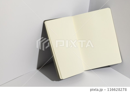 An open blank notebook rests on a white surface, with copy space An open blank notebook rests on a white surface, with copy space 116628278