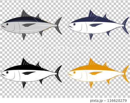 横から見たクロマグロ 横から見たクロマグロ 116628279
