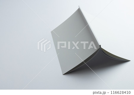 A blank open magazine lies on a white surface, with copy space A blank open magazine lies on a white surface, with copy space 116628410