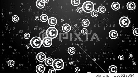 Image of euro dollar sign, binary coding and financial data processing 116628984