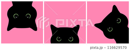 Peeking black cats set with big green eyes on pink background. Curious cats looking out. Cute black cat face. Vector illustration Peeking black cats set with big green eyes on pink background. Curious cats looking out. Cute black cat face. Vector illustration 116629570