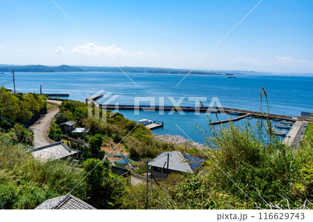 加唐島の港の風景 加唐島の港の風景 116629743