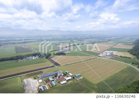北海道 十勝平野 美蔓パノラマパークからの眺め（空撮） 116630246