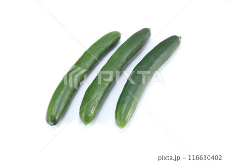 新鮮なきゅうり 116630402