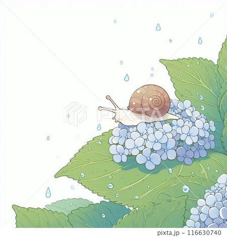 雨と青い紫陽花の上のカタツムリ、白背景。AI生成素材 雨と青い紫陽花の上のカタツムリ、白背景。AI生成素材 116630740