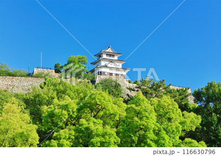 【香川県】北側内堀から見た晴天の丸亀城（現存天守と石垣の名城） 116630796