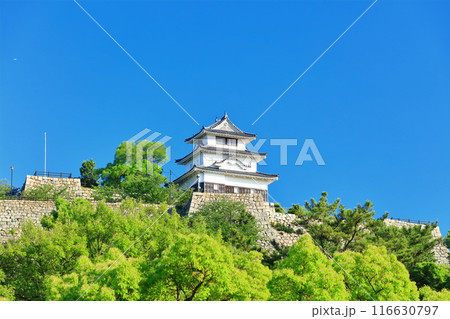 【香川県】北側内堀から見た晴天の丸亀城（現存天守と石垣の名城） 116630797
