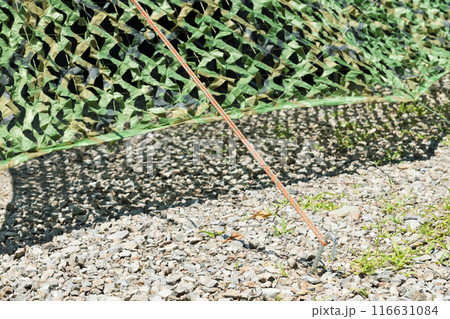 【オートキャンプ場でソロキャンプ　ペグとガイロープ】 116631084