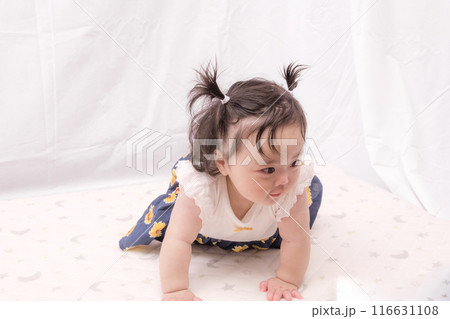 【はいはいを始めるツインテールの赤ちゃん】 116631108