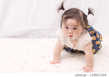 【はいはいを始めるツインテールの赤ちゃん】 【はいはいを始めるツインテールの赤ちゃん】 116631109