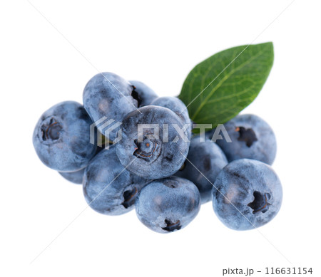 Fresh blueberry with green leaves, isolated on white background. Bilberry or whortleberry berries. Clipping path. 116631154