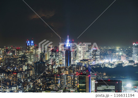 新宿方面に発生した雷と都市夜景【東京都】 新宿方面に発生した雷と都市夜景【東京都】 116631194