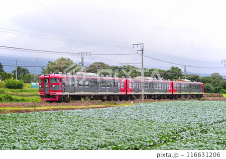 しなの鉄道 御代田ー平原 しなの鉄道 115系 S9編成 しなの鉄道 御代田ー平原 しなの鉄道 115系 S9編成 116631206