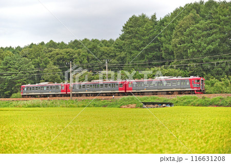 しなの鉄道 平原ー御代田 しなの鉄道 115系 S1編成 しなの鉄道 平原ー御代田 しなの鉄道 115系 S1編成 116631208