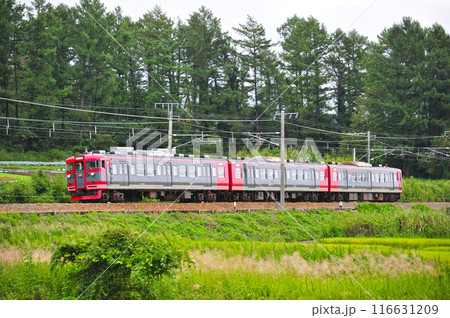 しなの鉄道　御代田ー平原　しなの鉄道　115系　S9編成 116631209