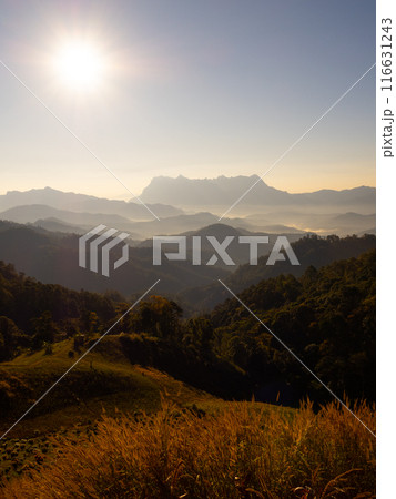Doi Luang Chiang Dao mountain at dawn with golden hour sunrise sky. Chiang Mai - Thailand Doi Luang Chiang Dao mountain at dawn with golden hour sunrise sky. Chiang Mai - Thailand 116631243