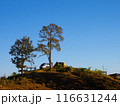 Camping tent and car on grass hill with clear sky background. Chiang Mai - Thailand 116631244