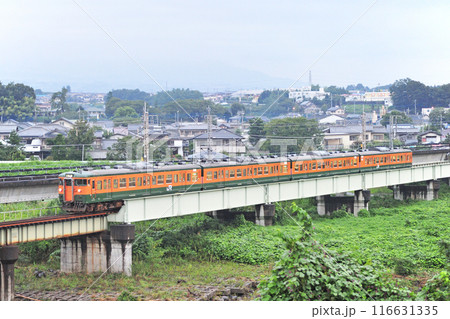 信越本線　群馬八幡ー安中　JR東日本　115系　T1044編成（高崎） 116631335