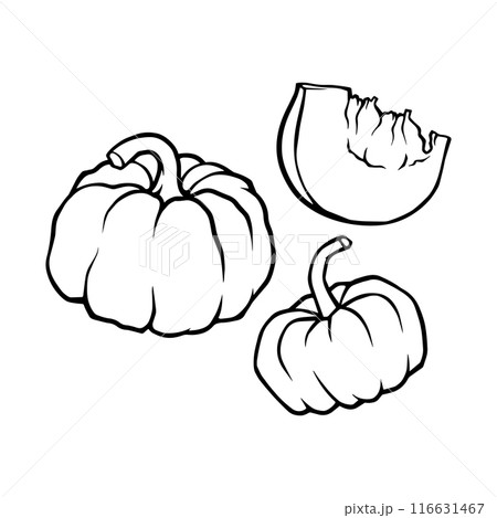 Set of seasonal vegetables. Autumn, fall pumpkins. Harvest festival. Printable flat graphic illustration for textile, fabric Set of seasonal vegetables. Autumn, fall pumpkins. Harvest festival. Printable flat graphic illustration for textile, fabric 116631467