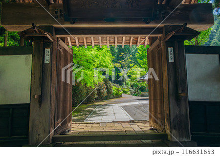 【西福寺】新緑と山門【塩尻市】 【西福寺】新緑と山門【塩尻市】 116631653