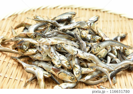煮干　カタクチイワシ 116631780