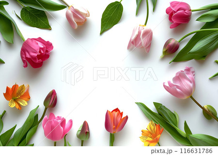 Beautiful spring flowers on a white background with copy space. Floral arrangement with copy space in the center. Beautiful tulips on a white background. Pharmacy concept. Flat lay, top view 116631786