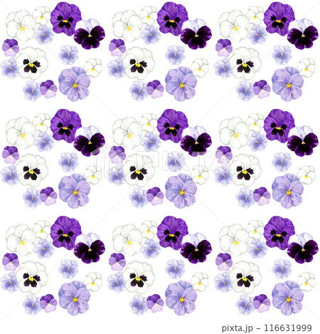 紫・白のパンジーとビオラのシームレスパターン　手描き水彩イラストの花柄 116631999