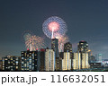 幕張の夜景と花火 116632051