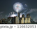 幕張の夜景と花火 116632053
