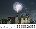 幕張の夜景と花火 116632055