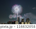 幕張の夜景と花火 116632058
