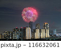 幕張の夜景と花火 116632061