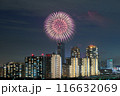 幕張の夜景と花火 116632069