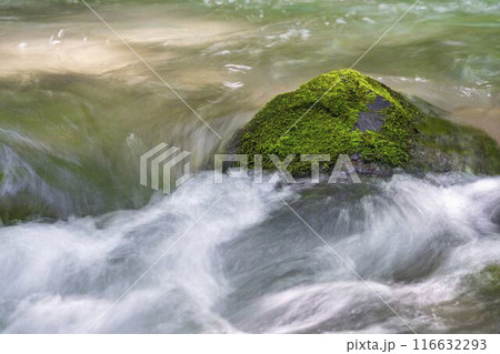 夏の奥入瀬渓流　阿修羅の流れ　青森県十和田市 116632293