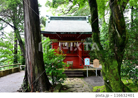 伊豆山神社 雷電社 伊豆山神社 雷電社 116632401