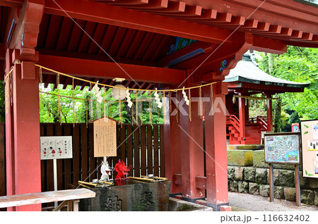 伊豆山神社 手水舎 伊豆山神社 手水舎 116632402