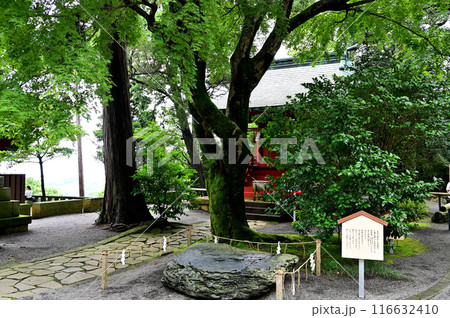 伊豆山神社　光石 116632410