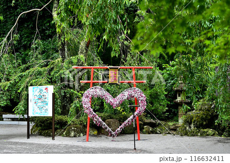 伊豆山神社　境内 116632411