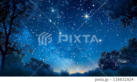 星が輝く森の夜 星が輝く森の夜 116632924